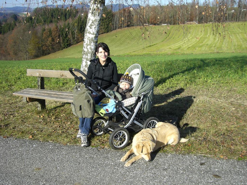 Kirchenwirt Inn Kreuzen  ภายนอก รูปภาพ
