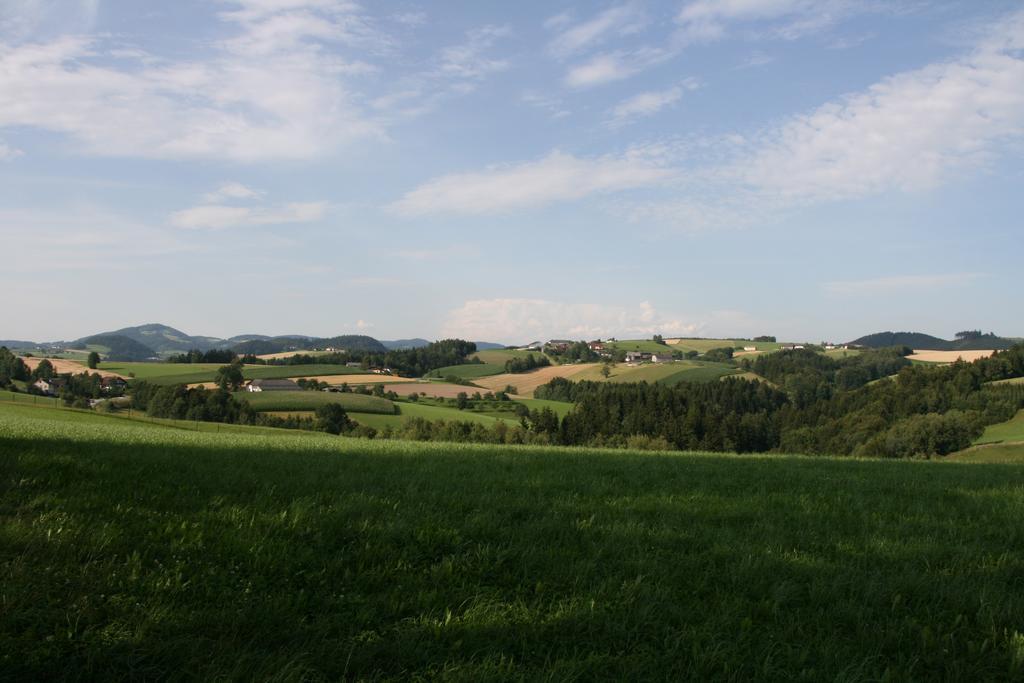 Kirchenwirt Inn Kreuzen  ภายนอก รูปภาพ